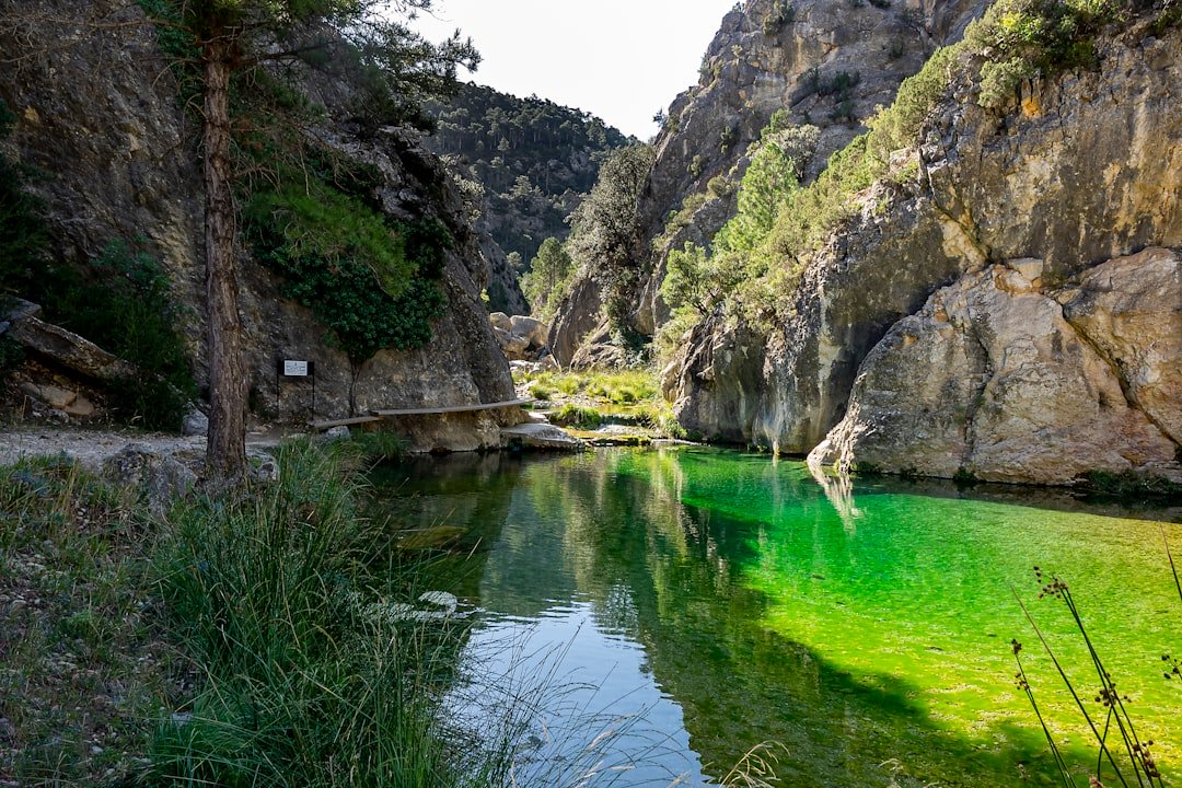Green Kanyon Tekne Turu İle Doğanın Güzelliğini Keşfedin